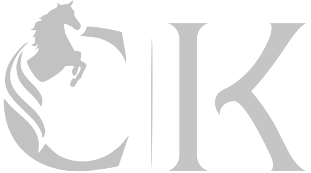 CK Internationale Zollagentur GmbH
